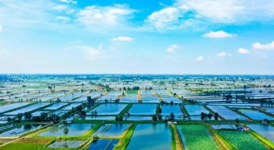 多问一句“清不清楚”，是对乡亲们最深情的担当