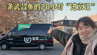新春走基层 丨一条武昌鱼的20小时“进京记”