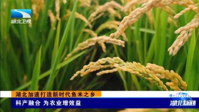 牢记嘱托 建成支点 | 湖北加速打造新时代鱼米之乡