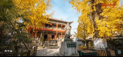 今天，唱响《荆州力量》！5分20秒，每一秒都是热爱！