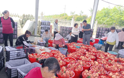 襄阳这两份“民生账单”，藏着最朴实的幸福