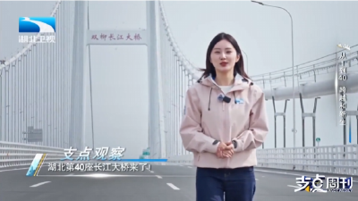 从1到40 跨越和新生丨湖北第40座长江大桥来了！