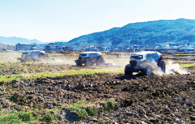 春启新程话三农 ——从四个故事里看中央一号文件精神的十堰实践