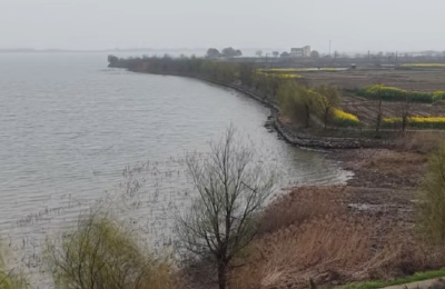 长湖水底有诗行