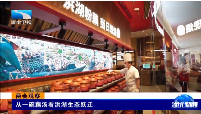 两会观察 | 从一碗藕汤看洪湖生态跃迁