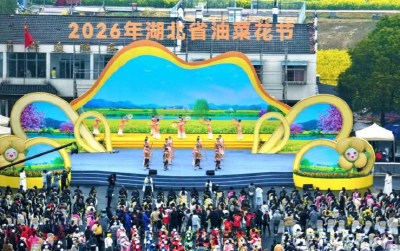 湖北油菜花节开幕 80万亩金色花海迎客来