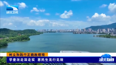 树立和践行正确政绩观 | 学查改走深走实 惠民生见行见效