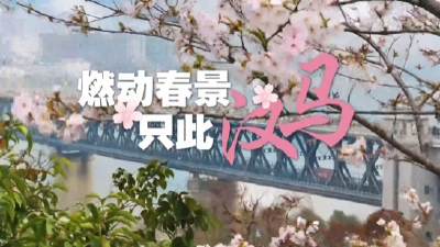 一场力求满分的城市治理大考