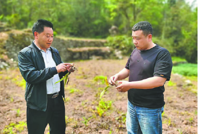 “一叶轻舟”万重山