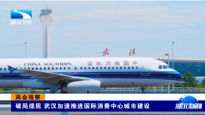 两会观察 | 破局提质 武汉加速推进国际消费中心城市建设
