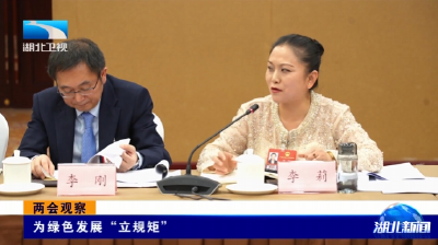 两会观察 | 为绿色发展“立规矩”