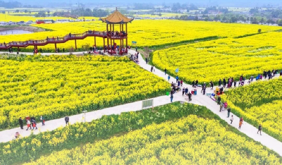 花开富贵誉荆楚——荆门“一枝花”工程绘就高质量发展新图景