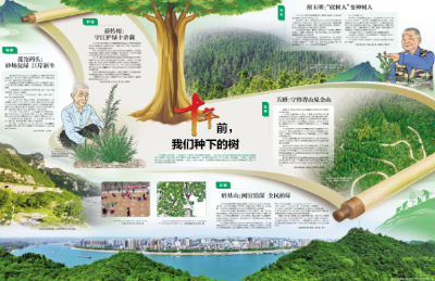 十年前，我们种下的树——这抹跨越时光的绿是对保护长江的铿锵回答