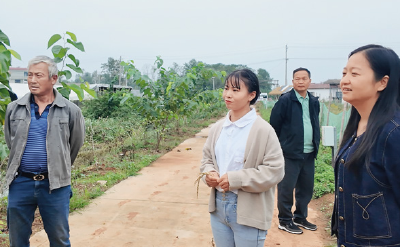 十四届全国人大代表 田淑娴：一位硕士“新农人”的科技兴农路