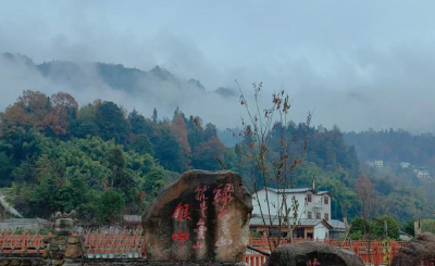 茶山上的亲戚们