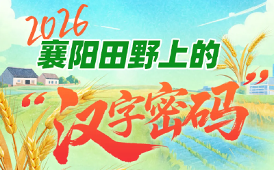 省委一号文件落地襄阳，在田野上“长”出了八个汉字