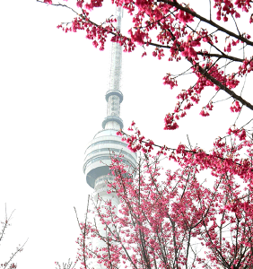 春天里，看见一个活力富足的中国