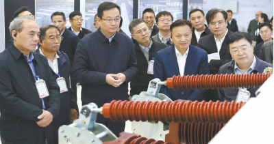 智汇故里 链动未来！黄梅“院士家乡行”背后的产才融合实践