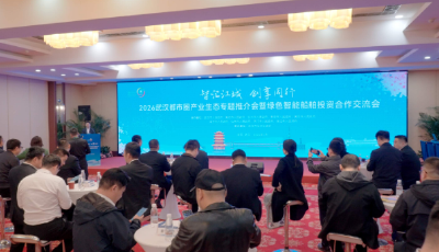 集聚超100家核心主体，全国80%研发设计出自湖北，武汉都市圈打造绿色智能船舶“全链条”硬实力