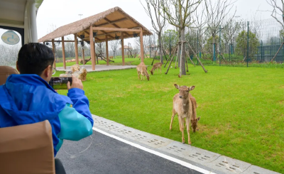 从“治理”到“治愈”——鄂州“精致城市”的跃升之路②