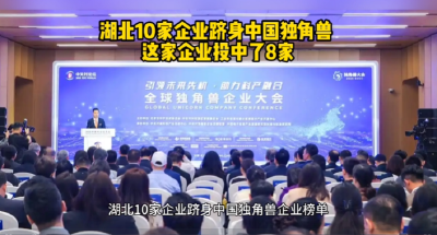 湖北十家企业跻身中国独角兽