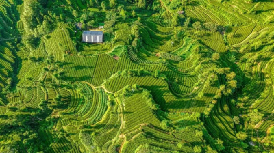 老办法不灵了，宜昌这个“第一乡”怎么改？