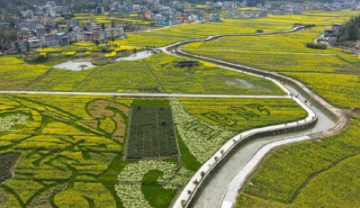 花开山野“三重奏”——宣恩花海经济背后的“美丽账本”