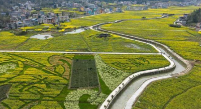 花开山野“三重奏”——宣恩花海经济背后的“美丽账本”