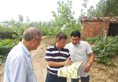 缘于吴劲松公道正派：客商一投再投建起千亩现代化蔬菜园