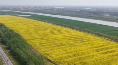 一心为民的好支书吴劲松 