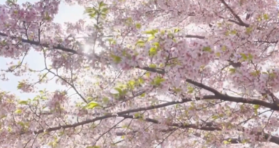 长江访谈 | 阿联酋驻华大使侯赛因·哈马迪：愿做湖北联通世界的“桥头堡”