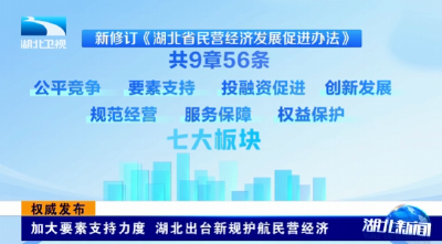 权威发布 | 加大要素支持力度 湖北出台新规护航民营经济
