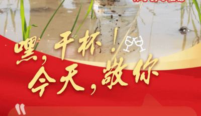 嘿！干杯！今天，敬你！