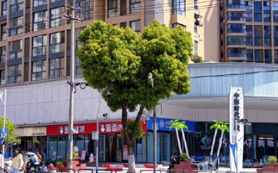 网友提出一个浪漫建议，十堰：立即安排！