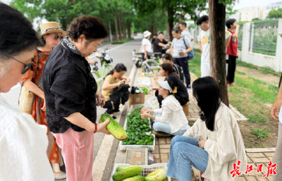 华农这群大学生把作业卖爆了，有人专门从江汉路赶来抢购