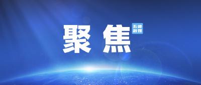 聚焦国际博物馆日丨石家河遗址博物馆开馆 再现长江中游史前文明