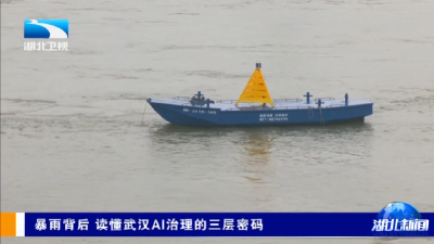 暴雨背后 读懂武汉AI治理的三层密码 