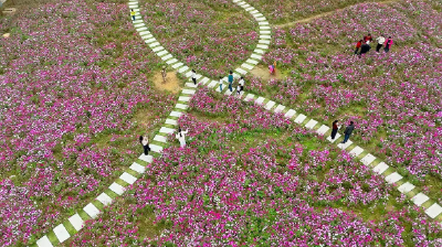 满城芳华·蝶变进行时丨潜江：花开满巷 同心润城