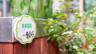 从10000到550：一块光伏板背后的政绩观之变