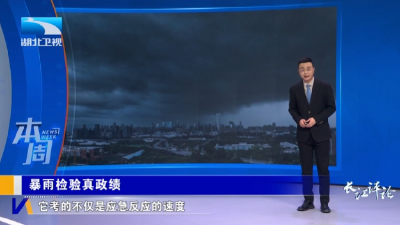 暴雨检验真政绩