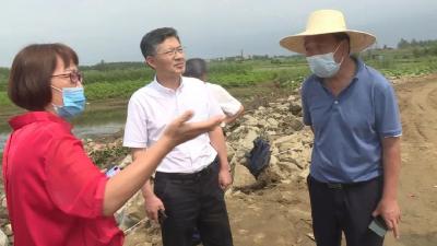 市领导来我县指导举东支堤脱坡抢险整治工作