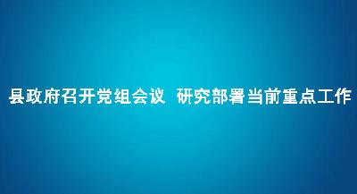 县政府召开党组会议 研究部署当前重点工作