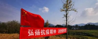 杜皮乡：把支部“主题党日”活动开到产业基地上 