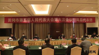 我县代表团集中审议“三个报告”