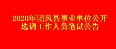 2020年团风县事业单位公开选调工作人员笔试成绩及面试有关事项公告