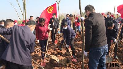 我县干部群众开展义务植树活动 为团风再添新绿