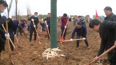 又是一年春光好  干群共植“振兴林”