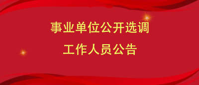 2021年团风县事业单位公开选调工作人员公告