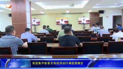 我县集中收看全市经济运行调度视频会