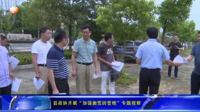 县政协开展“加强抛荒田管理”专题视察